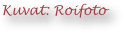 Kuvat: Roifoto